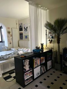 a room with a bed, bookshelf and a plant in the corner next to it