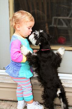 Puppy dog kisses... Puppies Quotes, Dogs Quotes, Quotes Friends, Dog Kisses, Mini Schnauzer, Funny Dog Pictures, Dog Quotes