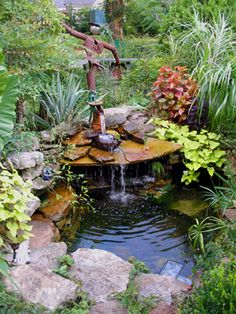 a small pond surrounded by plants and rocks