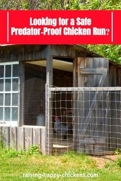 a chicken coop with the words looking for a safe predator - proof chicken run?