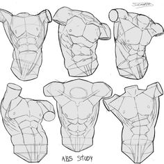 six different views of the torso