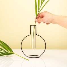 a hand is holding a plant in a glass vase on a white table next to a palm leaf