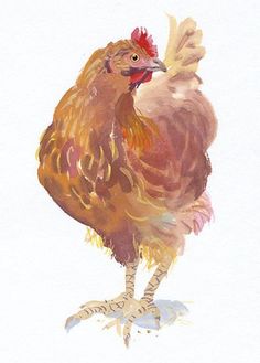 a watercolor painting of a rooster standing on one leg and looking at the camera