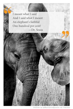 an elephant and its baby are touching each other's tusks with a quote from dr seuss