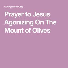 the words prayer to jesus agonizing on the mount of olives in white