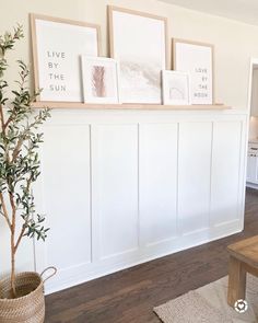 a living room with pictures on the wall and a potted tree in front of it