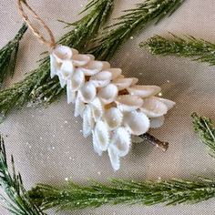 some white flowers and green leaves on a table