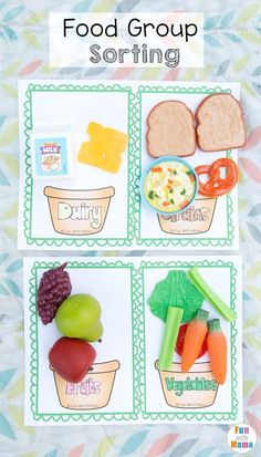 food groups sorting activity for kids