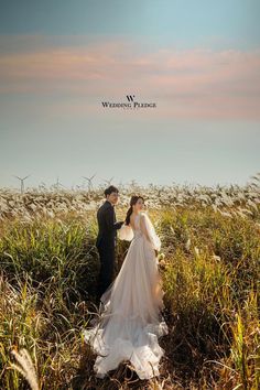 a bride and groom standing in the middle of tall grass with an orange sky behind them