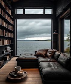 a couch sitting in front of a window next to a book shelf filled with books