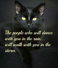 a black cat sitting on top of a couch with a quote about the people who will dance with you in the rain