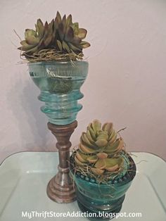 two glass vases with succulent plants in them sitting on a white table