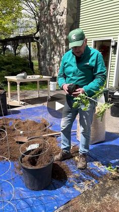 a man standing in the middle of a yard with plants growing out of buckets