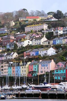 boats are parked in the water near houses on a hill above them, and there is a town with many colorful buildings