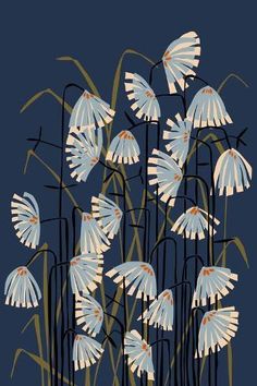 a bunch of flowers that are sitting in the grass on a dark blue background with text overlay