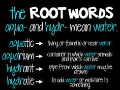 the root words are written in different ways on a blackboard with blue and green lettering