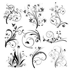 black and white floral design elements with swirls, leaves and flowers on a white background