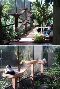 two pictures side by side one has a cat sitting on a bench and the other has a bird house