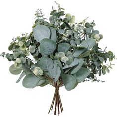 PRICES MAY VARY. 10 pcs mixed artificial eucalyptus leaves stems includes 5 pcs artificial silver dollar eucalyptus leaves stems in grey green and 5 pcs artificial baby eucalyptus leaves sprays in frosted green. Color: Artificial eucalyptus leaves include silver dollar eucalyptus leaves in grey green and baby blue eucalyptus leaves in dusty green. Faux eucalyptus in green adds texture to any classic or romantic floral design, perfectly complement any soft colored flowers. Size: Each Faux Silver Mixed Eucalyptus, Vase With Branches, Faux Branches, Dollar Eucalyptus, Wedding Greenery, Leaf Vase, Greenery Decor, Wreath Garland, Feuille Eucalyptus