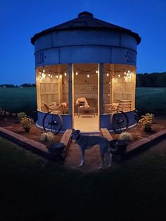 a dog standing in front of a round structure with lights on it's sides