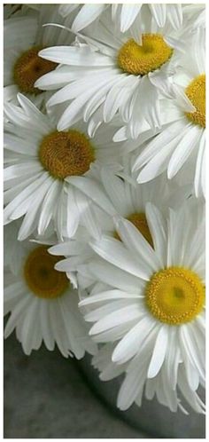 some white and yellow flowers are in a vase