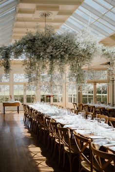 an indoor dining room with tables, chairs and plants hanging from the ceiling over them