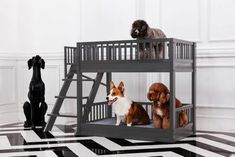 three dogs sitting on top of bunk beds in a room with black and white flooring