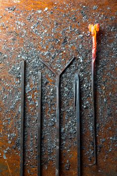 four metal tongs laying on top of each other next to an orange and white flower