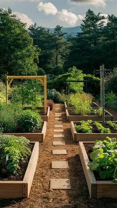 Garden Farm Design, Design A Vegetable Garden, Veggie Bed Layout, Beautiful Raised Garden Beds Landscapes, Beautiful Garden Layout, Raised Garden Beds With Pavers, Raised Beds Backyard, Outdoor Garden Beds, Veggie Garden Plan