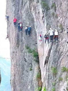 several people standing on the edge of a cliff