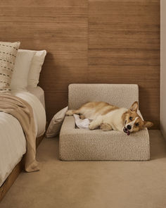 a dog laying on top of a bed in a bedroom