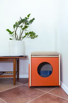 an orange box with a hole in it next to a small plant on a table