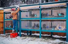 a woman standing on top of a blue fence next to cages with animals inside them