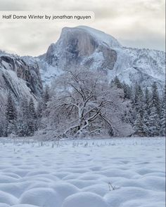 a snow covered field with trees and mountains in the backgrounnd, half dome winter by jonathan ragyenn