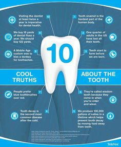 Interesting Facts about human teeth  Are you studying for a DANB or dental assisting exam? www.DentalAssistantStudy.com Dental Fun, Dental Facts, Dental Life, Emergency Dentist, Teeth Health, Dental Cosmetics, Dental Humor, Family Dental, Dental Insurance