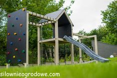 a play structure with a slide and climbing wall