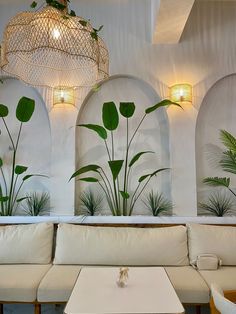 Boho Cafe Design, Cafe Plants Interiors, Bali Cafe Interior, Coffee House Interior Design, Logo Design Color Palette, Coffee House Design, Restaurant Design Inspiration, Salon Suites Decor, Home Greenhouse