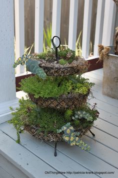 a planter with moss and other plants in it on a porch next to a fence