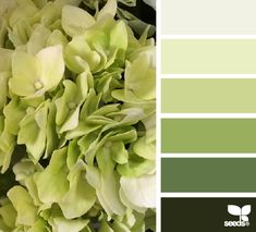 the color scheme is green and has white flowers in it, with shades that match each other