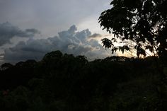 the sun is setting behind dark clouds in the sky above trees and bushes on a hill