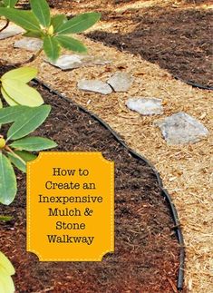 an image of a garden path with text overlaying how to create an expensive mulch and stone walkway