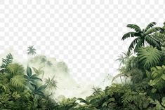 the jungle is full of green plants and trees, hd png downloading transparent background