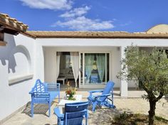 a patio with blue chairs and an olive tree in the foreground, next to a white building