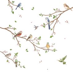 birds are sitting on the branches of a tree with red berries and green leaves, painted by watercolor