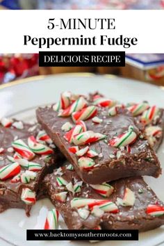 5-Minute Peppermint Fudge is an easy and delicious dessert for the holidays. It only takes five minutes to make and is a budget-friendly treat. It’s the perfect fudge for the Christmas season. Just like the title states, the homemade fudge can be made in five minutes, plus the time to firm up. Peppermint Fudge Recipe, Mocha Fudge, Easy Chocolate Fudge, Peppermint Fudge, New Year's Desserts, Fudge Recipes Chocolate, Christmas Fudge, Oh Fudge, Fudge Recipes Easy