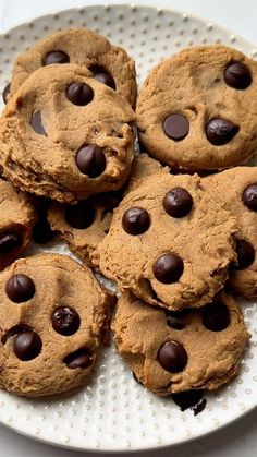 chocolate chip cookies are arranged on a white plate