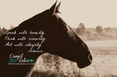 a black and white photo of a horse with a quote on it's forehead