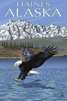 an eagle flying over the water with mountains in the background and words canmore on it