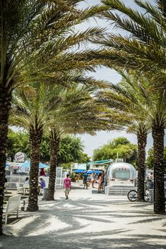 palm trees line the walkway leading to an rv park with people walking and sitting on benches