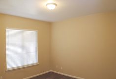 an empty room with tan walls and carpeted flooring in the foreground is a window with white blinds